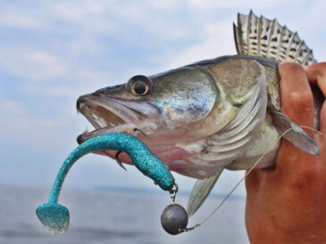 Використання джигових приманок для ловлі судака