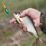 Экипировка для рыбалки осенью: как выбрать правильную одежду