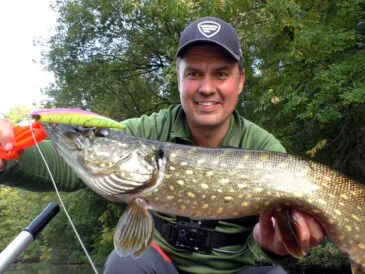 На Пслі починається щучий кльов: воблери перемагають джиг