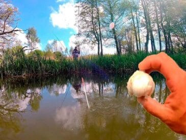 Риболовля з часником: які риби люблять його аромат