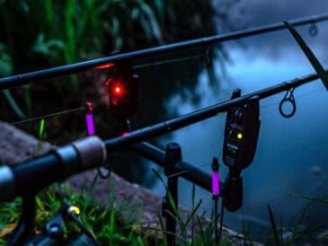 Нічні сигналізатори клювання: огляд та порівняння моделей