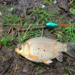 3 причины, почему плетеный шнур быстро приходит в негодность