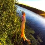 Осенняя рыбалка на малых водоемах Украины: секреты успешного клева в октябре