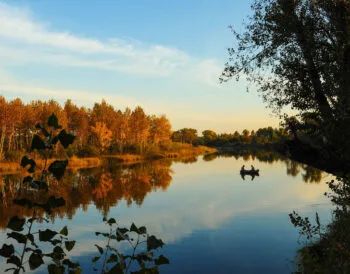 Осіння риболовля на малих водоймах України