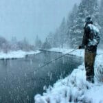 Новые приманки в деле: рыболов поделился результатами теста