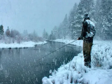 Заморозки та шторми: що чекає на рибалок в Україні цієї осені?