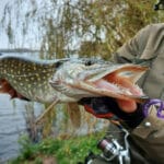 Как вязать узел Рапала: где использовать, плюсы и минусы