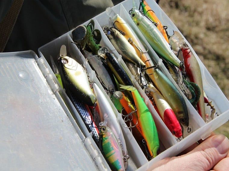 Лучшие приманки для ловли щуки осенью