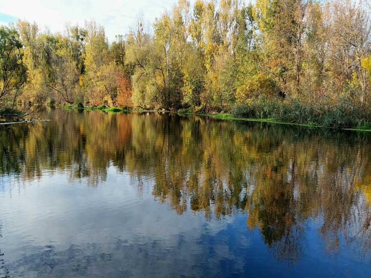 Ловля щуки на Ворскле. Фото 1