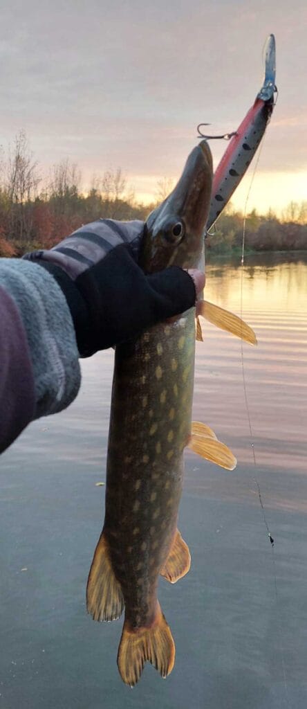 Ловля щуки на Ворскле. Фото 4