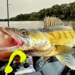 Осенний секрет: как поймать трофейную щуку на мелководье?