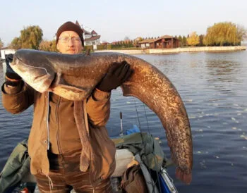 5 найбільших риб України: де ловити і на що клюють