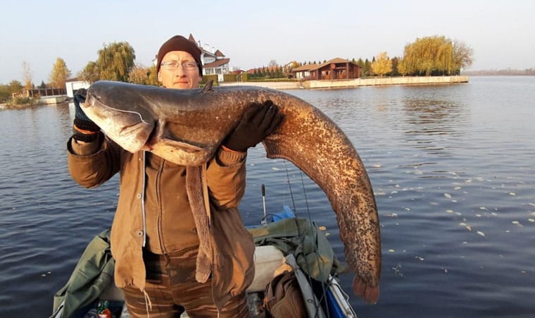 5 найбільших риб України: де ловити і на що клюють
