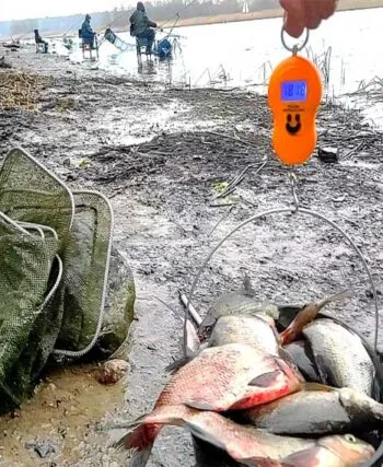 Риболовля в листопаді: коли, як і на що краще ловити рибу