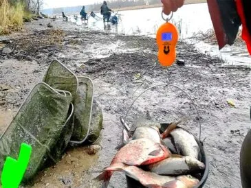 Риболовля в листопаді: коли, як і на що краще ловити рибу