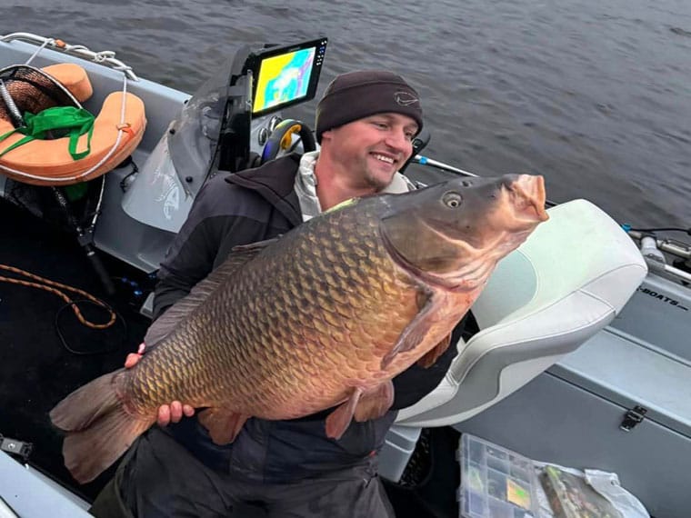 У Латвії новий рекорд по карпу: вага трофея 23,67 кг!