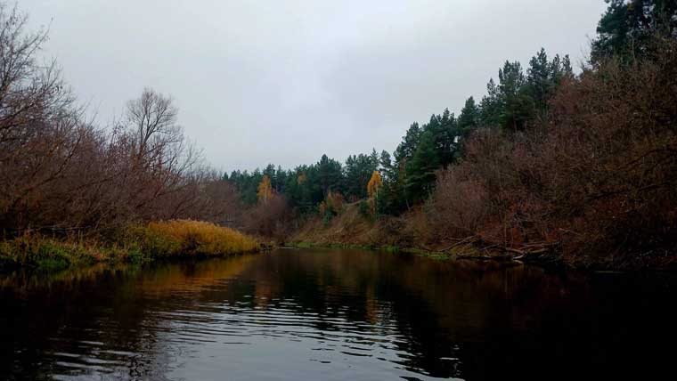 Щука клюет десятками: отчет о рыбалке на Псле. Фото 1
