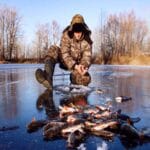 Магия поздней осени: охота на хищников перед ледоставом