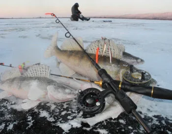 Календар рибалки на грудень 2024: найкращі дні, яка риба клює