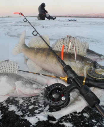 Календар рибалки на грудень 2024: найкращі дні, яка риба клює