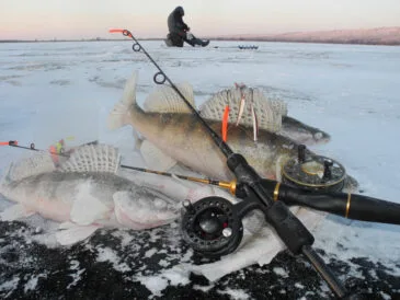 Календар рибалки на грудень 2024: найкращі дні, яка риба клює