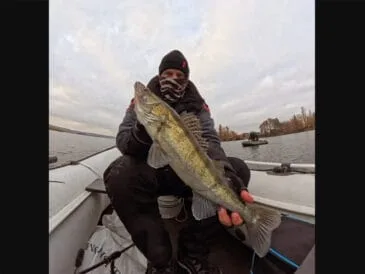 Рибалка з Києва поділився досвідом успішного полювання на дніпровського судака