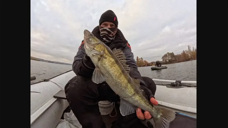 Рибалка з Києва поділився досвідом успішного полювання на дніпровського судака