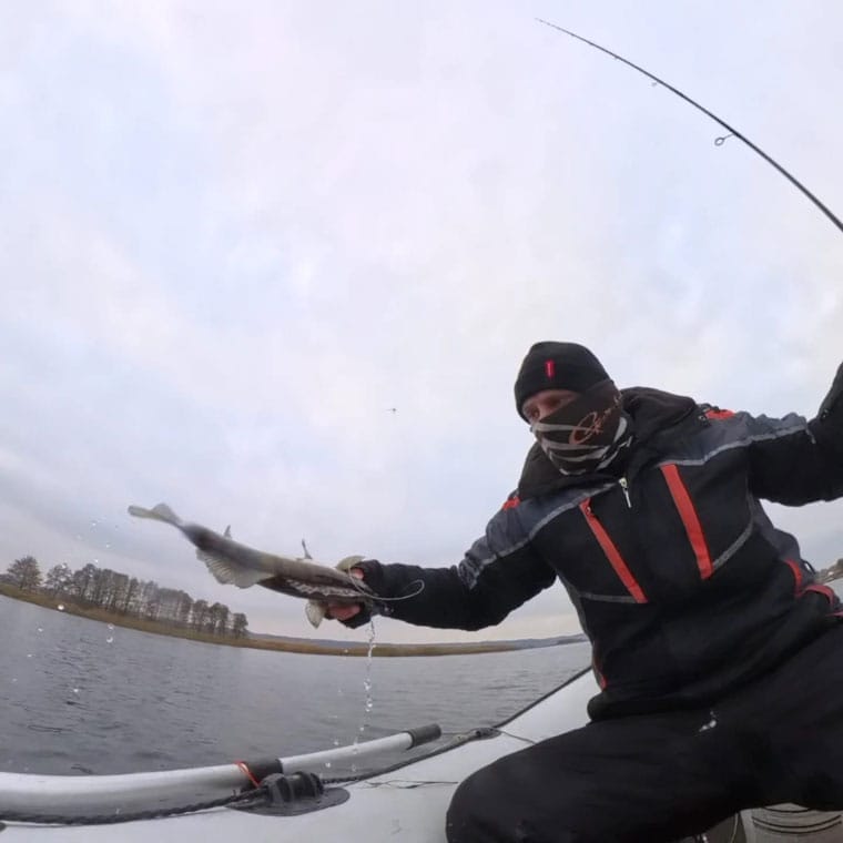 Охота на судака: новый подход на Днепре. Фото 1