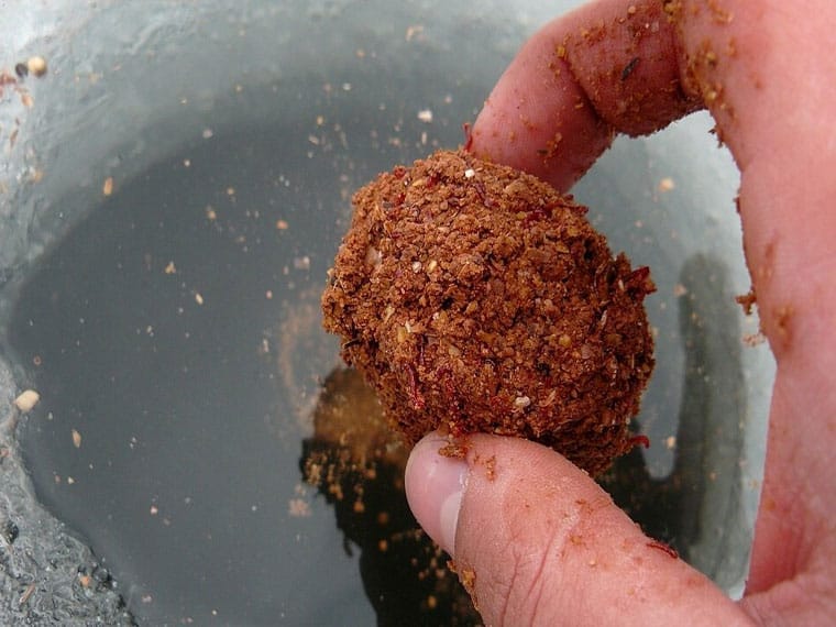 Прикормка для лову коропа взимку