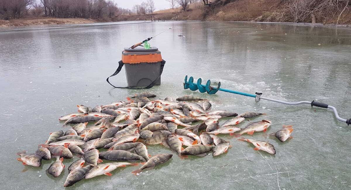 Де свердлити лунки по першому льоду