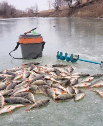 Де свердлити лунки по першому льоду