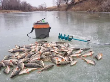 Де свердлити лунки по першому льоду
