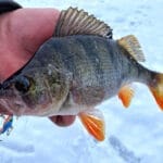 Снаряжение для зимней рыбалки: полный список необходимого