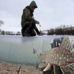 Какие приманки работают лучше всего для судака зимой?
