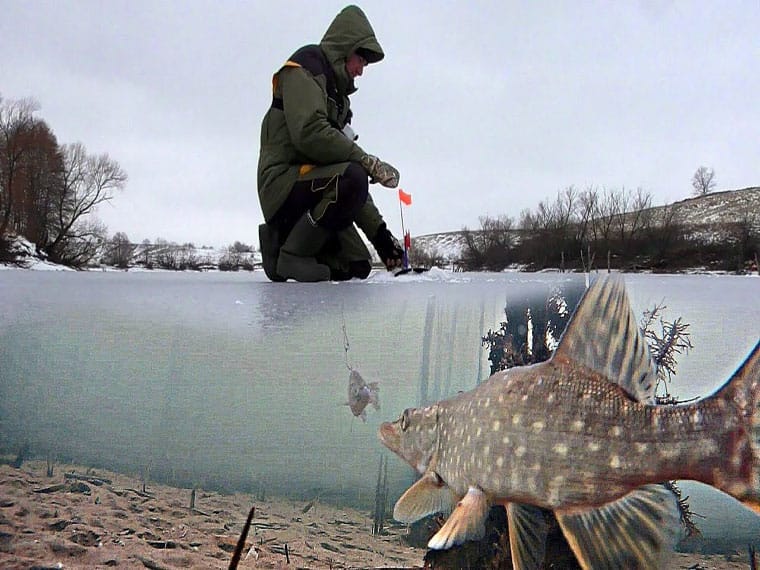 На що краще клює щука взимку: воблер чи живець?