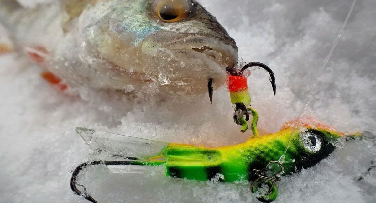 Балансири на окуня: секрети вибору кольору і форми