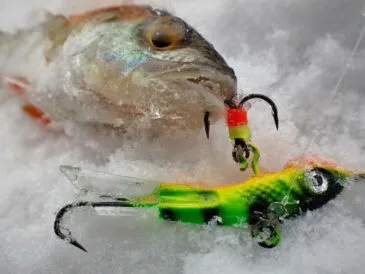 Балансири на окуня: секрети вибору кольору і форми