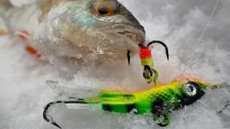 Балансири на окуня: секрети вибору кольору і форми
