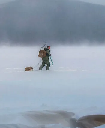 Чому риба не клює взимку: головні причини та шляхи вирішення