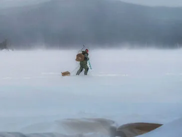 Чому риба не клює взимку: головні причини та шляхи вирішення
