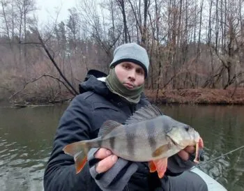 Щука, окунь і грудневий дощ: звіт про риболовлю на Пслі
