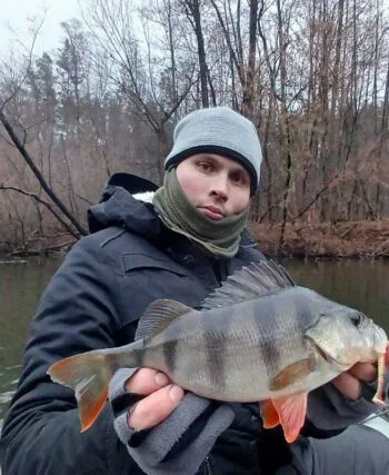 Щука, окунь і грудневий дощ: звіт про риболовлю на Пслі