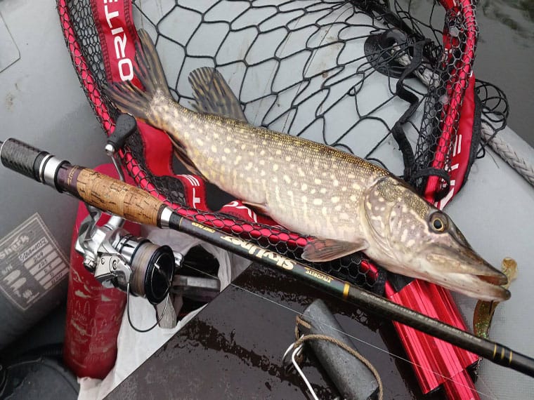 Риболовля на Пслі. Фото 2