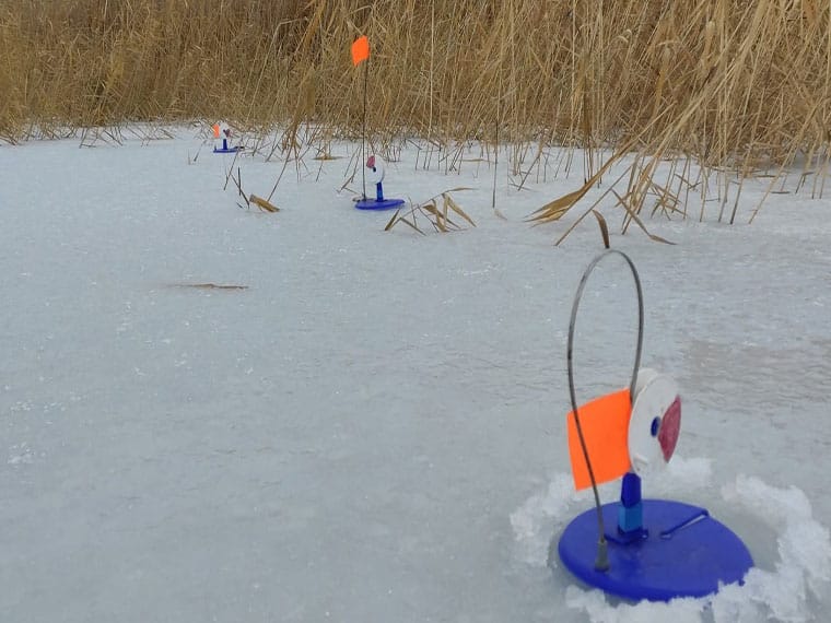 Як правильно розміщувати жерлиці на щуку?