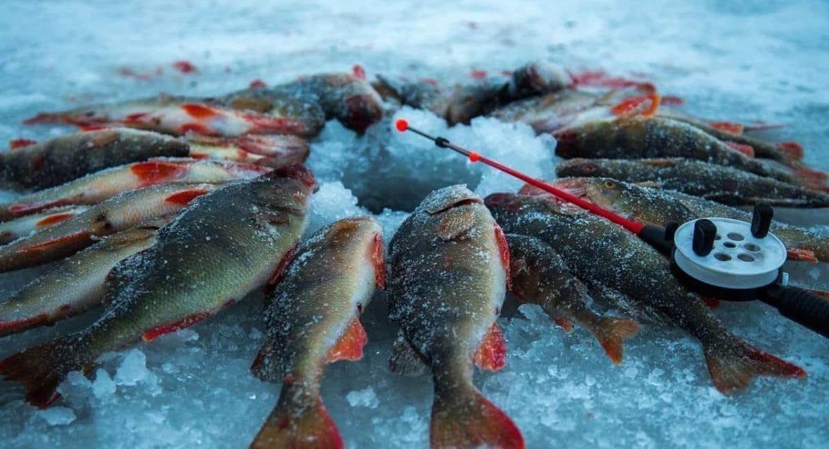 Календар рибалки на січень 2025