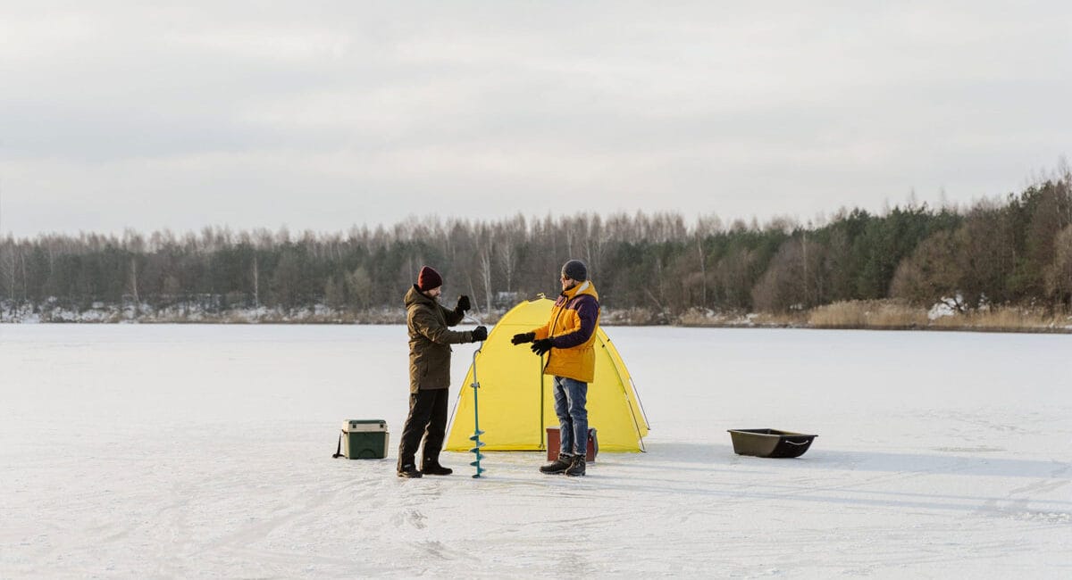 Погода і клювання: чого очікувати в останні дні грудня 2024 року