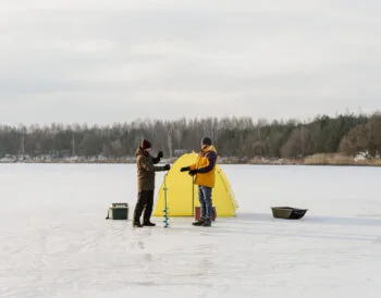 Погода і клювання: чого очікувати в останні дні грудня 2024 року