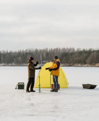Погода і клювання: чого очікувати в останні дні грудня 2024 року