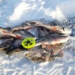 Как изменение погоды в конце декабря 2024 года повлияет на активность рыбы