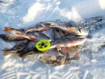 ТОП-5 мормишок для зимової риболовлі на глибині